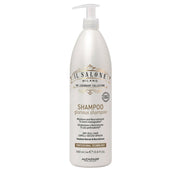 Il Salone Milano Glorious Shampoo 1000ml - shampoo per capelli secchi e opachi [all]