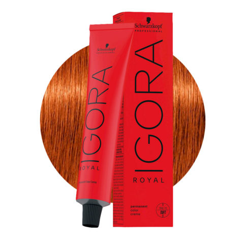 Schwarzkopf Igora Royal 7-4 Beige Medium Blond 60ml - permanent colouring