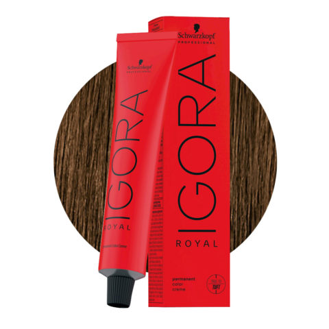 Schwarzkopf Igora Royal 6-5 Dark Golden Blond 60ml - permanent colouring