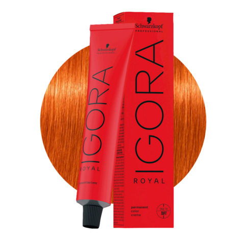 Schwarzkopf Igora Royal 8-77 Extra Copper Light Blonde 60ml - permanent colouring