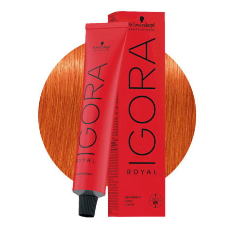 Schwarzkopf Igora Royal MIX 0-77 Copper Concentrate 60ml - permanent coloring