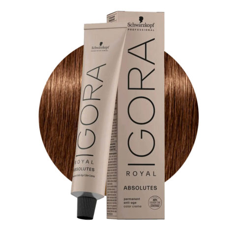 Schwarzkopf Igora Royal Absolutes 6-60 Dark Natural Chocolate Blonde 60ml - permanent colouring