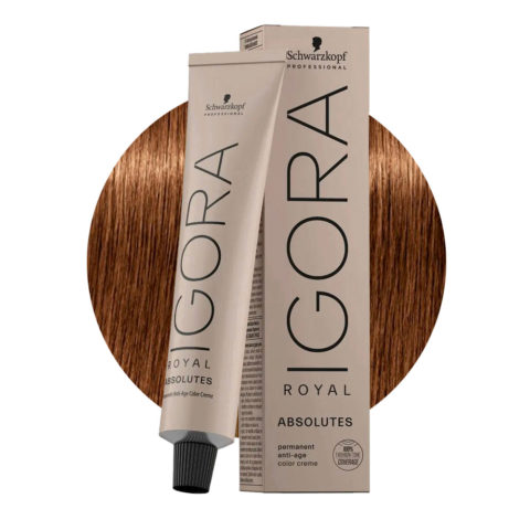 Schwarzkopf Igora Royal Absolutes 7-60 Medium Natural Chocolate Blonde 60ml - permanent colouring