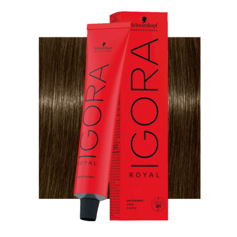 Schwarzkopf Igora Royal 6-16 Cendrè Chocolate Dark Blonde 60ml - permanent colouring