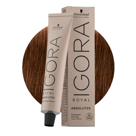 Schwarzkopf Igora Royal Absolutes 6-460 Natural Chocolate Beige Dark Blonde 60ml - permanent colouring