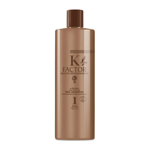 Tecna K Factor Safe Smoother Pro Shampoo 1 500ml - shampoo with keratin