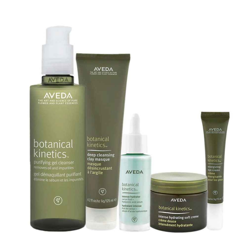 Aveda Botanical Kinetics Set