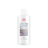 True Gray Clear Conditioning Perfector 500ml - repair  treatment