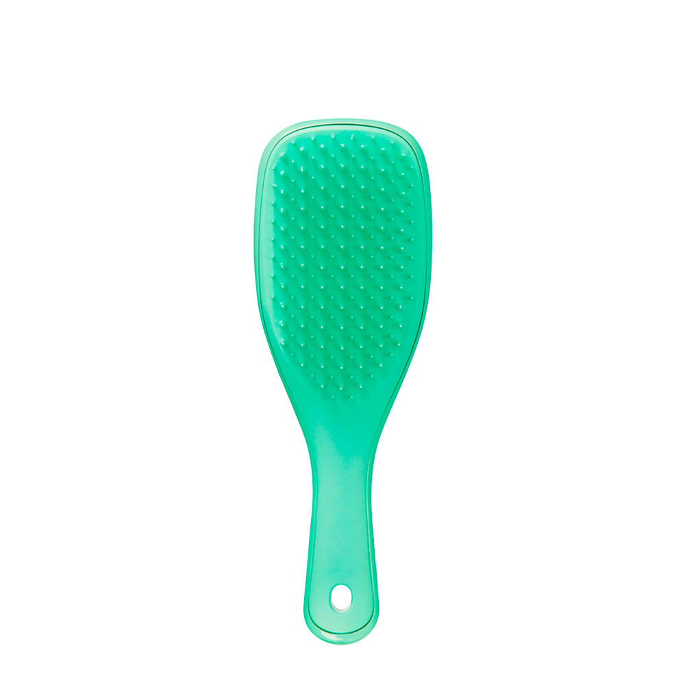 Tangle Teezer Wet Detangler Mini Green Lizard - brush for wet hair