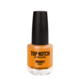 Mesauda Top Notch Prodigy Nail Color 272 Northern Lights 14ml - nail polish