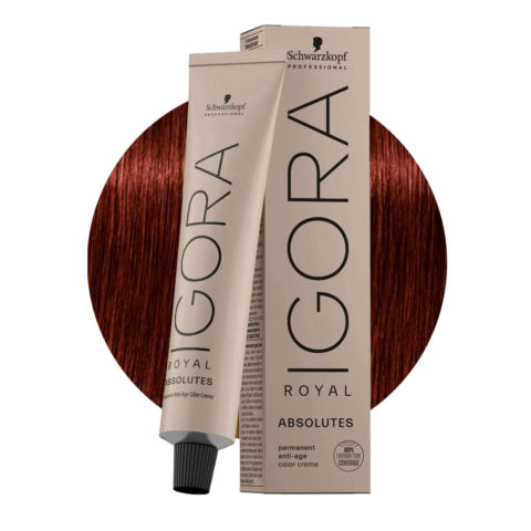 Schwarzkopf Igora Royal Absolutes 5-80  Natural Red Light Brown 60ml - permanent colouring