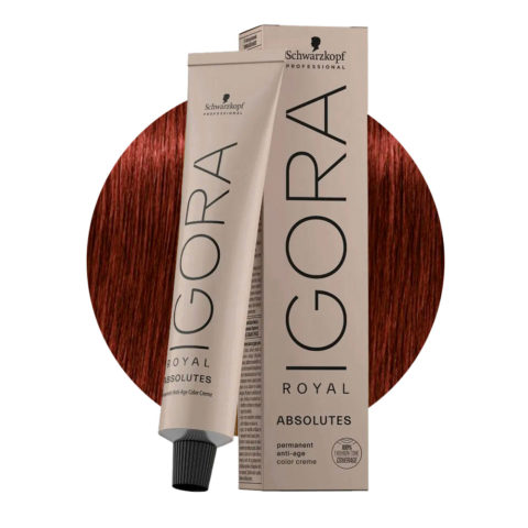 Schwarzkopf Igora Royal Absolutes 6-80 Natural Red Dark Blonde 60ml - permanent colouring