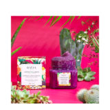 Baija Paris jardin Pallanca Cassis Jasmin Melting Body Scrub 220gr - body scrub