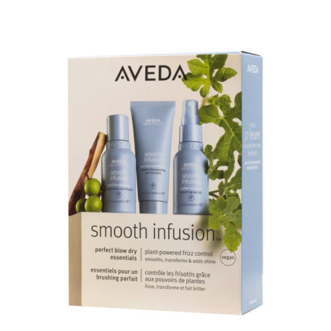 Aveda Styling Smooth Infusion Kit