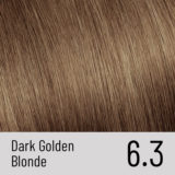 Alfaparf Milano Il Salone Plex Rebuilder Color Kit 6.3 Dark Golden Blonde - permanent colouring cream