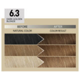 Alfaparf Milano Il Salone Plex Rebuilder Color Kit 6.3 Dark Golden Blonde - permanent colouring cream