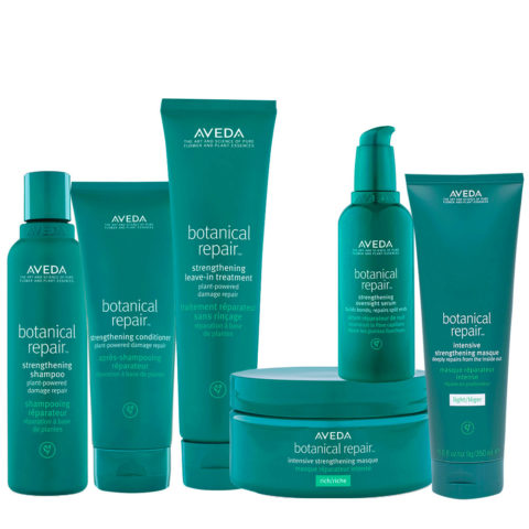 Aveda Botanical Repair  Restructuring System