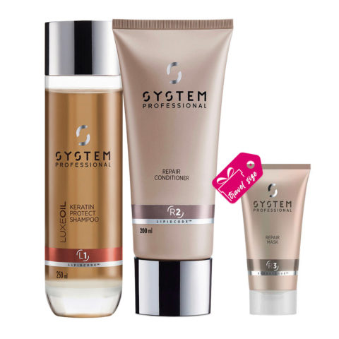 System Professional  Basic Routine For Damaged Hair