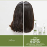 Biolage Strength Recovery Shampoo 250ml - damaged hair shampoo