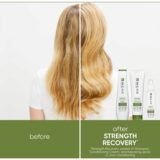 Biolage Strength Recovery Conditioner 200ml - damaged hair conditioner