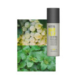 KMS Hairplay Molding Paste 2% 150ml