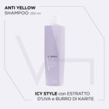 VIAHERMADA Anti-Yellow Shampoo 250ml Silky Oil 50ml