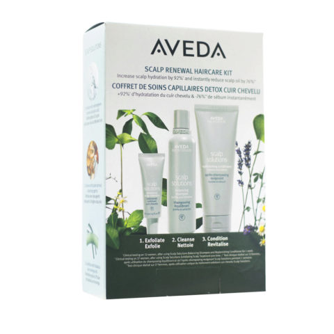 Aveda Scalp Renewal Haircare Kit - purifying treatment