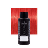Schwarzkopf Igora Vibrance 0-88 Golden Booster 60ml - tone on tone colouring