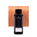 Schwarzkopf Igora Vibrance 9.5-47 Pastel Beige Copper 60ml - tone on tone colouring
