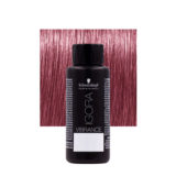 Schwarzkopf Igora Vibrance 9.5-98 Pastel Violet Red 60ml - tone on tone colouring